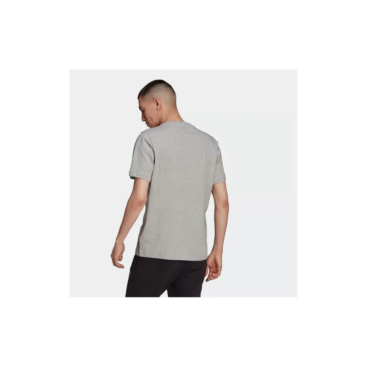 Adidas Originals Tees & Singlets<Adicolor Classics Trefoil Tee