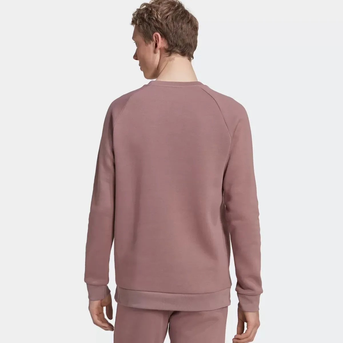 Adidas Originals Hoodies & Crews<Adicolor Essentials Trefoil Crewneck Sweatshirt