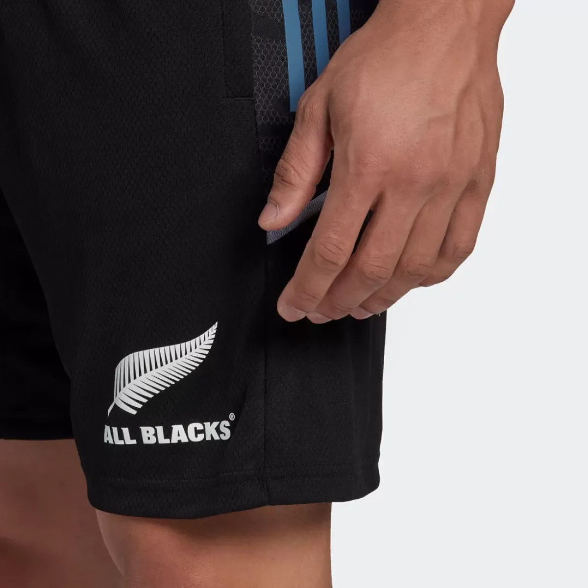 Adidas Shorts<All Blacks Rugby Gym Shorts