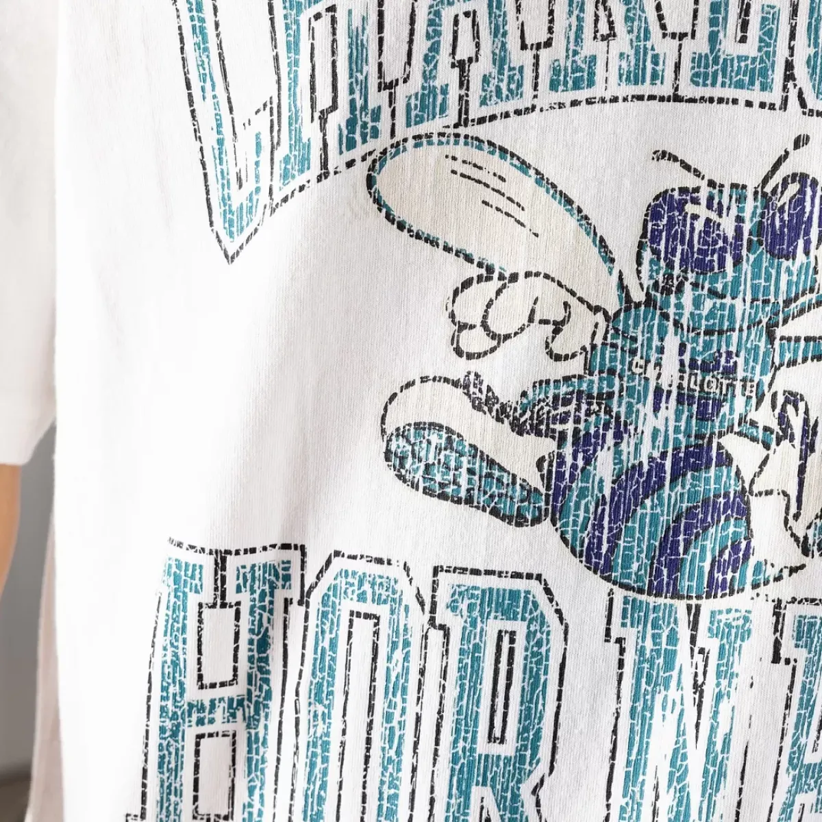 MITCHELL AND NESS Tees & Singlets<Charlotte Hornets Vintage Ivy Arch Tee Unisex