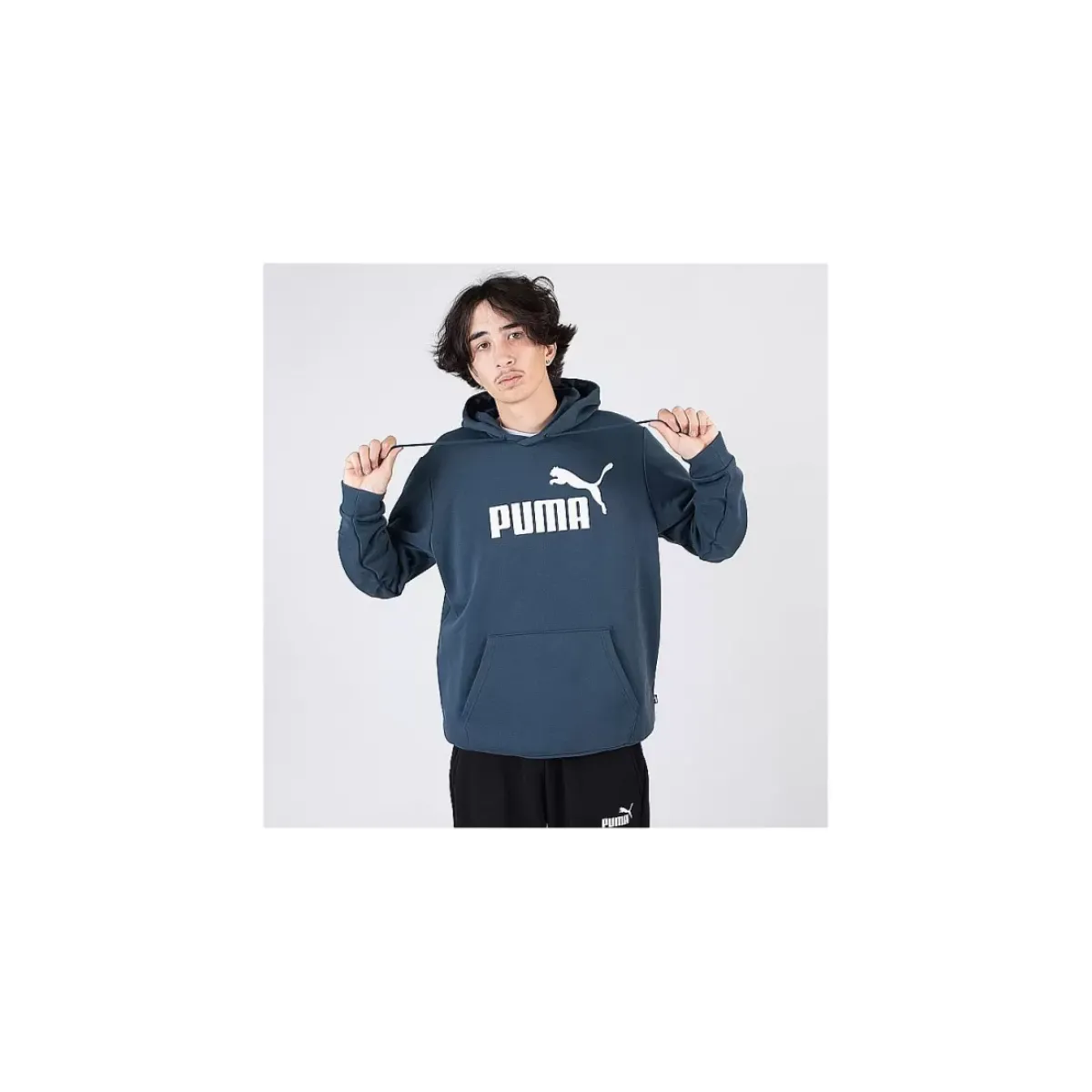Puma Hoodies & Crews<Essential Big Logo Hoodie