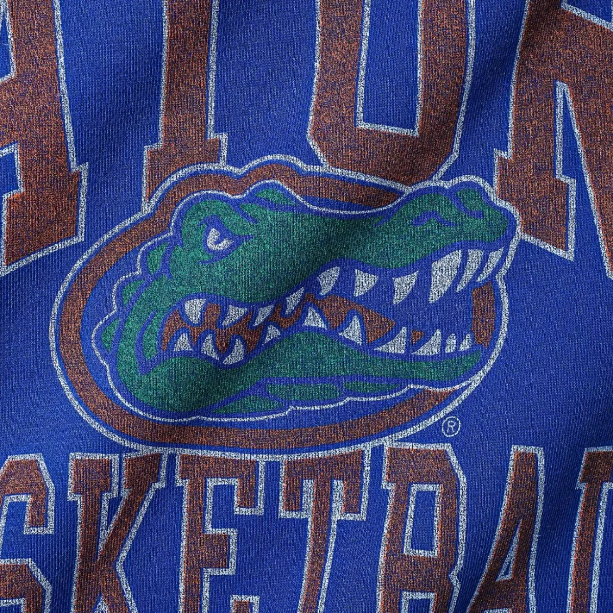 NCAA Hoodies & Crews<Florida Gators Vintage Arch Crewneck Unisex