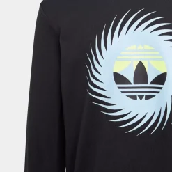 Adidas Originals Hoodies & Crews<Graphics Long Sleeve Sweatshirt