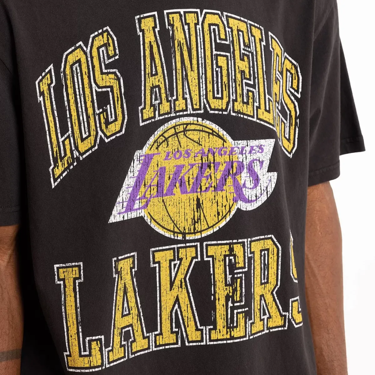 MITCHELL AND NESS Tees & Tanks<Los Angeles Lakers Vintage Ivy Arch T-Shirt Unisex