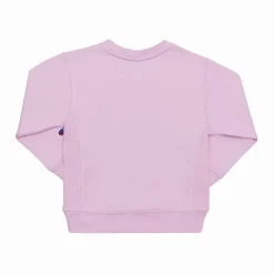 Champion Hoodies & Crews<Reverse Weave Collegiate Crew Infants