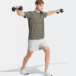 Adidas Tees & Singlets<Train Essentials Seasonal Stretch Training Tee